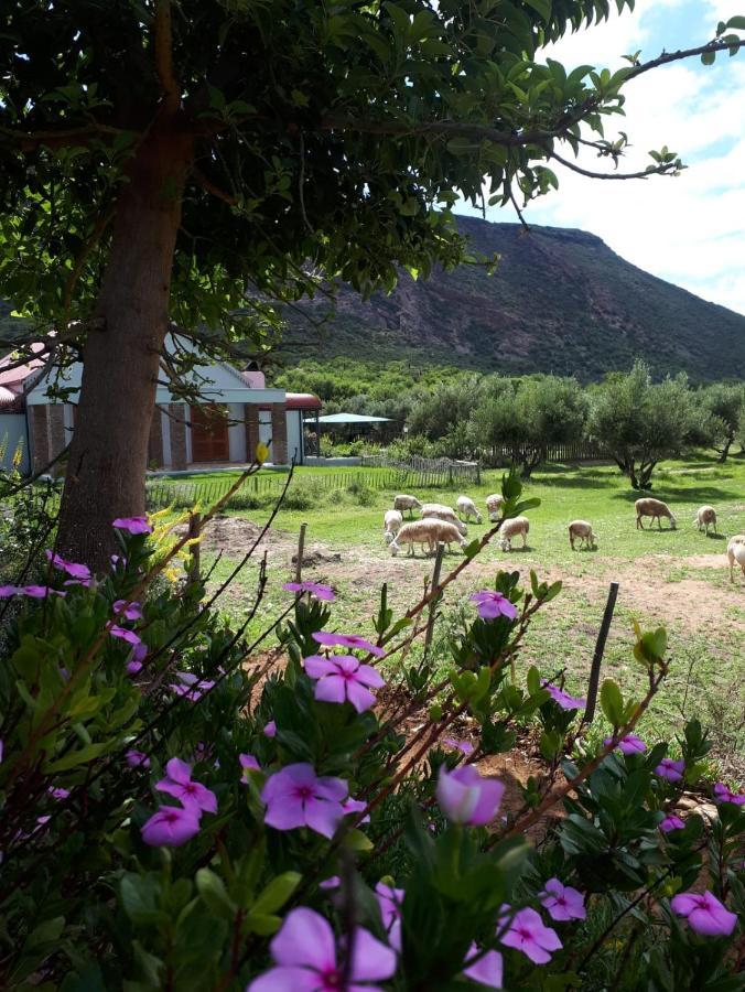 Baviaanskloof Landhuis Studtis Eksteriør bilde
